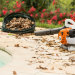 Воздуходувка бензиновая STIHL BG 50 42290111723