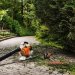 Воздуходувка бензиновая STIHL BG 86 42410111732