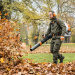 Воздуходувка бензиновая STIHL BR 800